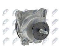 NTY ZPS-FR-013 Supporto motore