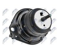 NTY ZPS-CH-076 Supporto motore