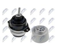 NTY Sospensione, Motore compatibile con AUDI VW VAG ZPS-VW-042
