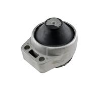 NTY Sospensione, Motore compatibile con FORD FORD USA ZPS-FR-011