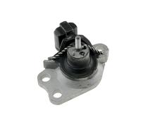 NTY Cuscinetti Del Motore Destra per Renault Kangoo 1.5 DCI 1.9 4x4 Espresso