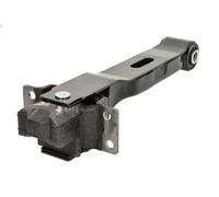 Supporto motore DELPHI TEM243 per FORD TRANSIT Furgone (FA_ _) 2 2000-2006