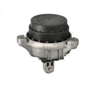 Supporto motore DELPHI TEM253 BMW 5 (F10) 2 2011-2016