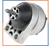 NTY Cuscinetti Del Motore Cuscinetto Destra per Ford Fuoco Torneo 1.8 16V 2.0