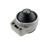 NTY Sospensione, Motore compatibile con FORD FORD USA ZPS-FR-011