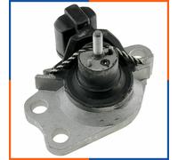 NTY Cuscinetti Del Motore Destra per Renault Kangoo 1.5 DCI 1.9 4x4 Espresso