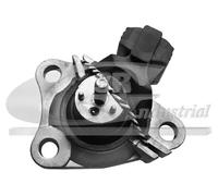 3RG Supporto motore 40665
