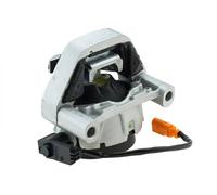 NTY Sospensione, Motore compatibile con AUDI SAURER VAG ZPS-AU-016