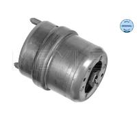 Supporto motore Dx Supporto idraulico 100 199 0074 MEYLE per VW