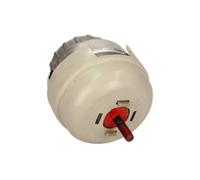 Supporto motore Dx Supporto idraulico 40-0382 MAXGEAR per AUDI A6 C6 A6 C6 Avant
