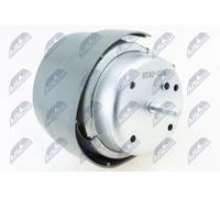 Supporto motore Dx Supporto idraulico ZPS-AU-039 NTY per AUDI SEAT