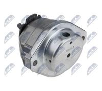 Supporto motore Dx Supporto idraulico ZPS-BM-024 NTY per BMW 5 5 Touring 6