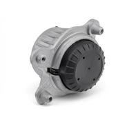NTY Supporto Motore ZPS-ME-043 per Mercedes-Benz, Anteriore Destro, Hydrolager