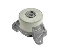 Supporto motore Dx Supporto idraulico ZPS-ME-051 NTY per MERCEDES-BENZ