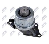 Supporto motore Dx Supporto idraulico ZPS-VW-065 NTY per VW MULTIVAN T5