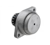 Supporto motore Dx ZPS-AU-060 NTY per AUDI A8 D3