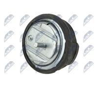 NTY Sospensione, Motore compatibile con BMW ZPS-BM-015