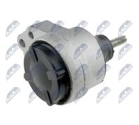 Supporto motore Dx ZPS-FR-002 NTY per FORD FOCUS I FOCUS I Turnier