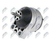 NTY Cuscinetti Del Motore Cuscinetto Destra per Ford Fuoco Torneo 1.8 16V 2.0