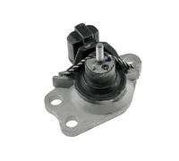NTY Cuscinetti Del Motore Destra per Renault Kangoo 1.5 DCI 1.9 4x4 Espresso