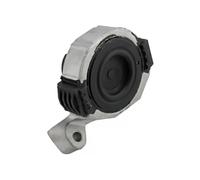 NTY Sospensione, Motore compatibile con FORD VOLVO ZPS-VV-001