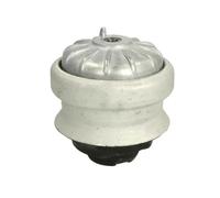 Supporto motore REINHOCH RH11-3000