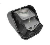 Supporto motore MEYLE 014 024 1074 per VITO Autobus (W639) 3.7 2004-2008