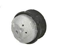 Supporto motore MEYLE 014 024 9052 MERCEDES-BENZ CLK (C208) 2 1997-2