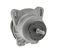 Supporto motore posteriore bilaterale Ford Transit Mk6 V347 V348 2.4 TDCi D8FL