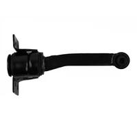 FAST Supporto motore Cuscinetto gomma-metallo Posteriore Compatibilità con FORD Transit Mk6 Furgonato V347, V348, FA FT52554