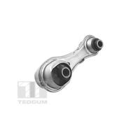 Tedgum TED50390 Supporto Motore Posteriore per Renault Clio IV Dacia Dokker
