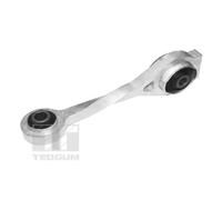 Supporto motore posteriore Cuscinetto gomma-metallo TED57560 TEDGUM per RENAULT