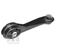 Supporto motore posteriore Cuscinetto gomma-metallo TED84313 TEDGUM per RENAULT