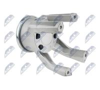 Supporto motore posteriore Cuscinetto gomma-metallo ZPS-VW-005 NTY per VW