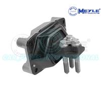 Supporto Motore Posteriore Sinistro O Destro Meyle 12-34 030 0001