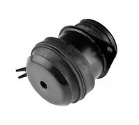 NTY ZPS-VW-026 Supporto motore