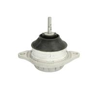 Supporto motore REINHOCH RH11-0000