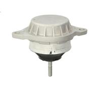 Supporto motore REINHOCH RH11-0000