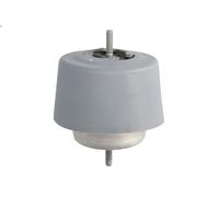 Supporto motore REINHOCH RH11-0037 per AUDI TT (8J3) 2 2006-2010
