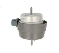 Supporto motore REINHOCH RH11-0141 per AUDI A6 C6 (4F2) 2 2004-2011