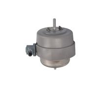Supporto motore REINHOCH RH11-0159