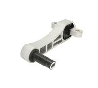 Supporto motore REINHOCH RH11-1066