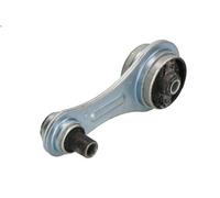 Sospensione, Motore REINHOCH RH11-2086 per RENAULT 19 I (B/C53_) 1.9 1988-1992