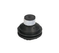 Supporto motore REINHOCH RH11-2109