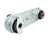 Supporto motore REINHOCH RH11-2163 RENAULT VEL SATIS (BJ0_) 2 2002-2009