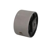 Supporto motore REINHOCH RH11-2190