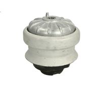 Supporto motore REINHOCH RH11-3000