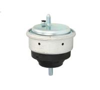 Supporto motore REINHOCH RH11-3013 per BMW 3 (E46) 3 1999-2005