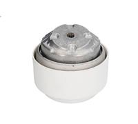 Alto Supporto motore REINHOCH RH11-3015 per Mercedes-Benz SL (R230) 3.7 2003-2012