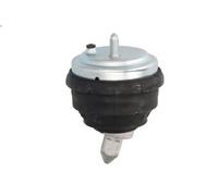 Supporto motore REINHOCH RH11-3017 destro